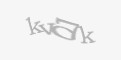 Қорғаныс коды
